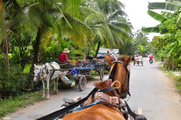 Mekong Delta floating market half day tour